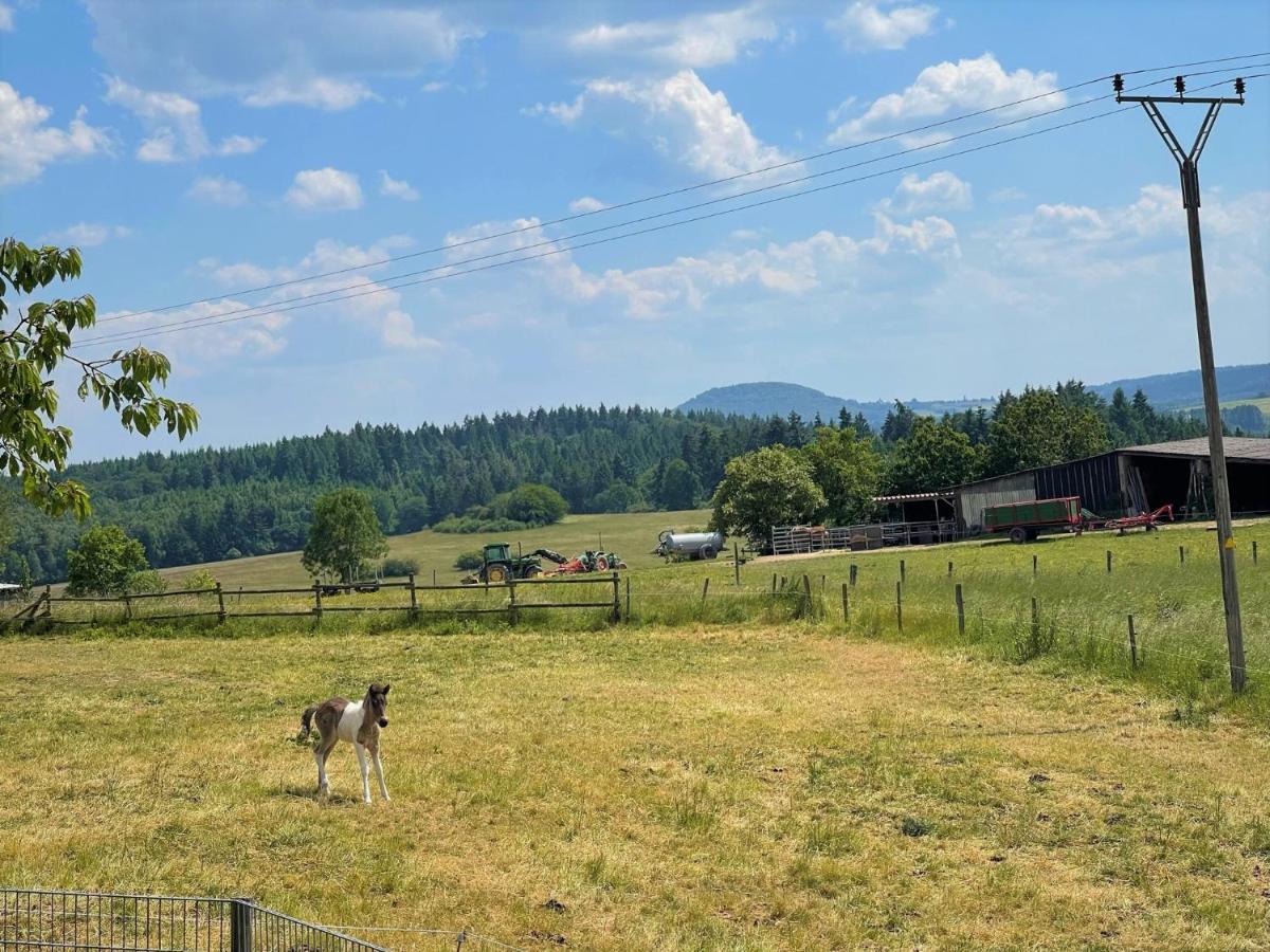 Ferienwohnung Eifel Hummel Экстерьер фото